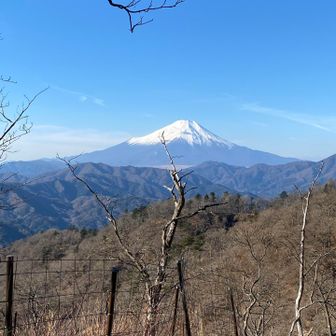 富士山がホント綺麗です。