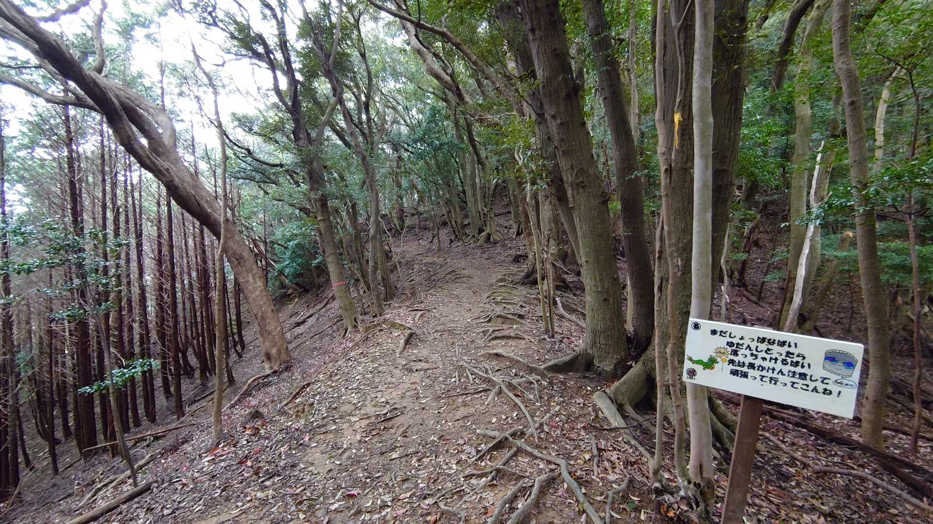 八郎岳 往復コースの写真