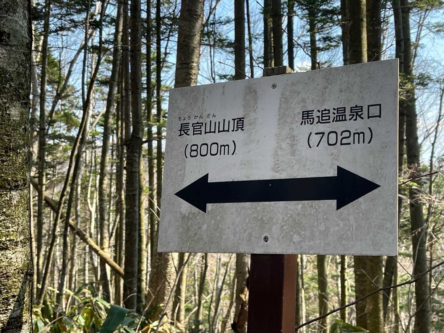 後800m