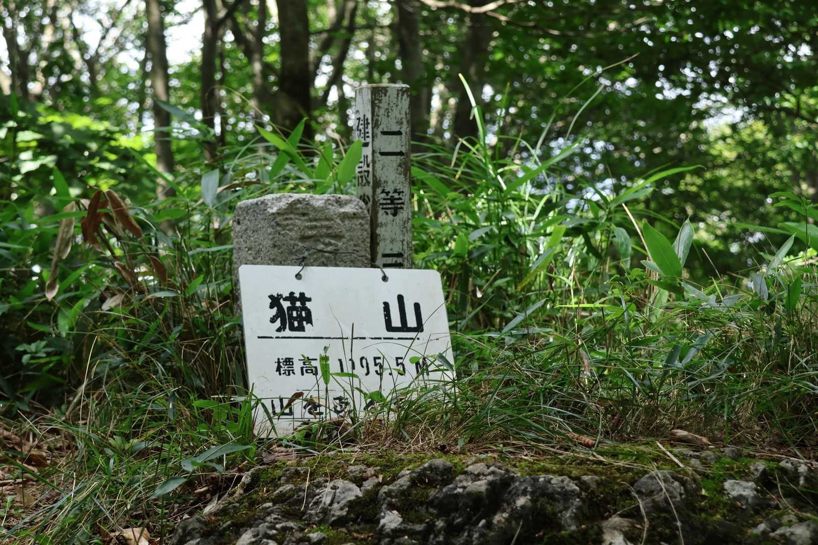 今回のようにお姫様に会いにいくという
目的がなければ
なかなか足が向かないお山なので🥲
（アタシ的観測💦）
遠征前のトレーニングとして
歩けて良かったかも💮