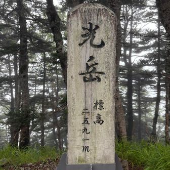 光岳は南アルプスの最南部
標高2500も光岳より南はありません。
そして雨だったから行かなかったけどハイマツも世界最南部。山友さんが読んでくれた深田久弥さんの書籍にもしっかり書かれていた