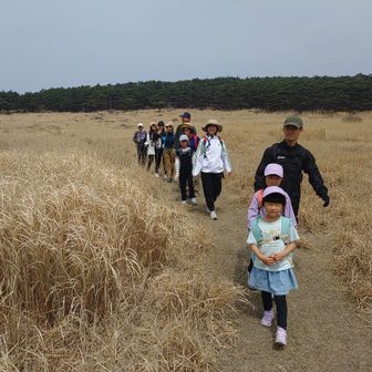 のんびり歩きます。