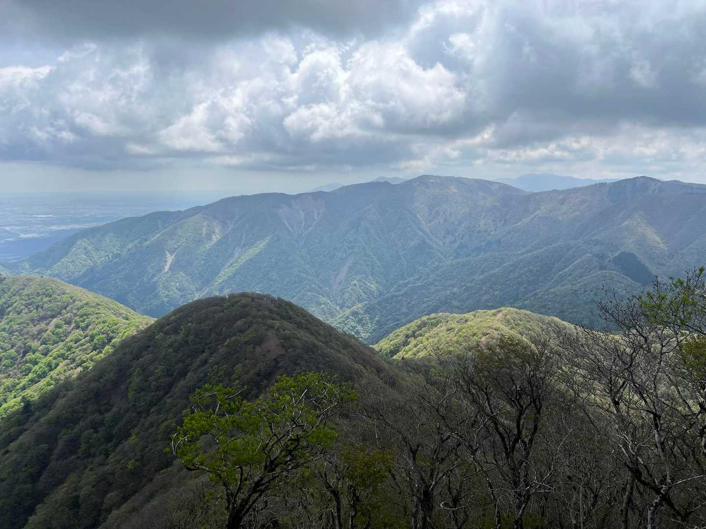 石榑峠-竜ヶ岳-銚子岳-治田峠-多志田山-藤原岳-藤原岳登 縦走コースの写真