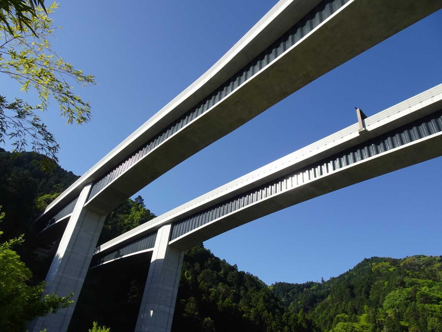 猪ノ鼻山の写真