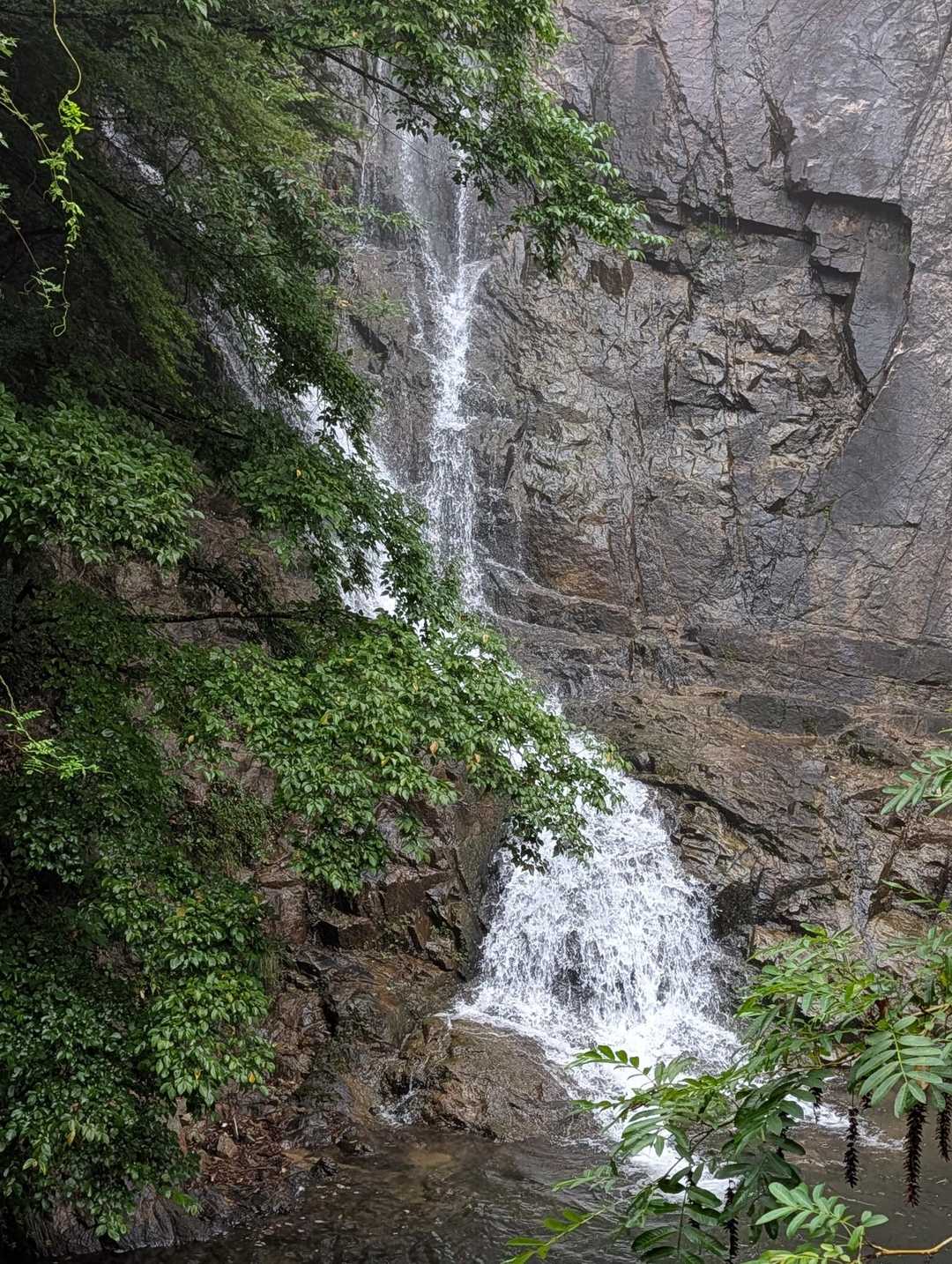 鵯越駅-石井ダム登山口-菊水山-鍋蓋山-再度越-大竜寺バス 縦走コースの写真