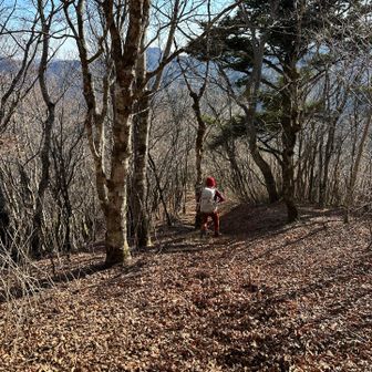 あとはひたすら下山あるのみ