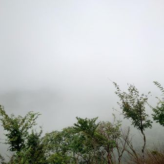何にも見えません