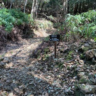 ここも、まあまあ急登だった