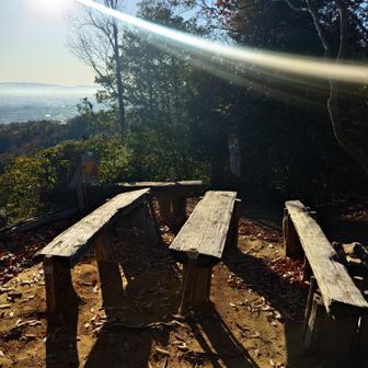 見晴らしポイントには休憩ベンチがあるみたいです。👍🤗