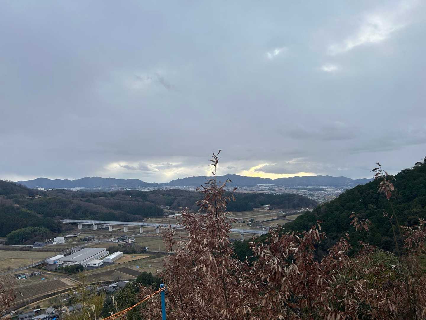 鉄塔のところは少し開けてきます。
