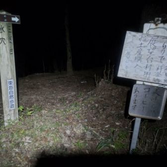 帰りに必ず買わせていただいきます！
