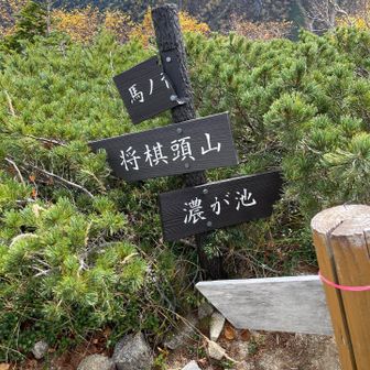 この分岐で結構降ってきました。
降るってことは登るって事ですよね😅