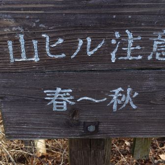 11月から3月末まで快適なトレイルが楽しめるオススメルートです。