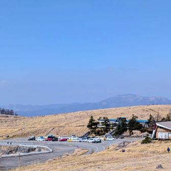 駐車場🅿️を振り返って。道路の向こう側は1台も止まってないのですが全然空いてました🚙👍