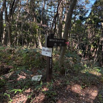 沢山の方達とスライド
お姉さんに道を教えて頂きました
ありがとうございました