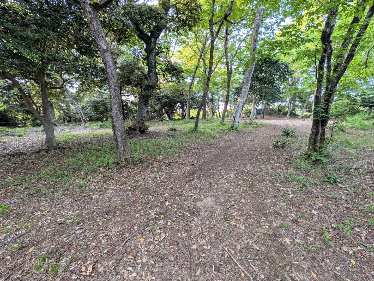 山頂広場へ
ところで、日本各地にある羽衣を盗まれた天女伝説が打吹山にもあり、打吹山では天女と盗人の間に出来た子供が天女が天に帰った際に、寂しくて太鼓を打ち笛を吹いてお母さん（天女）を呼んだ山だから打吹山なんだそうです🙂