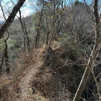 細尾根を進みます。