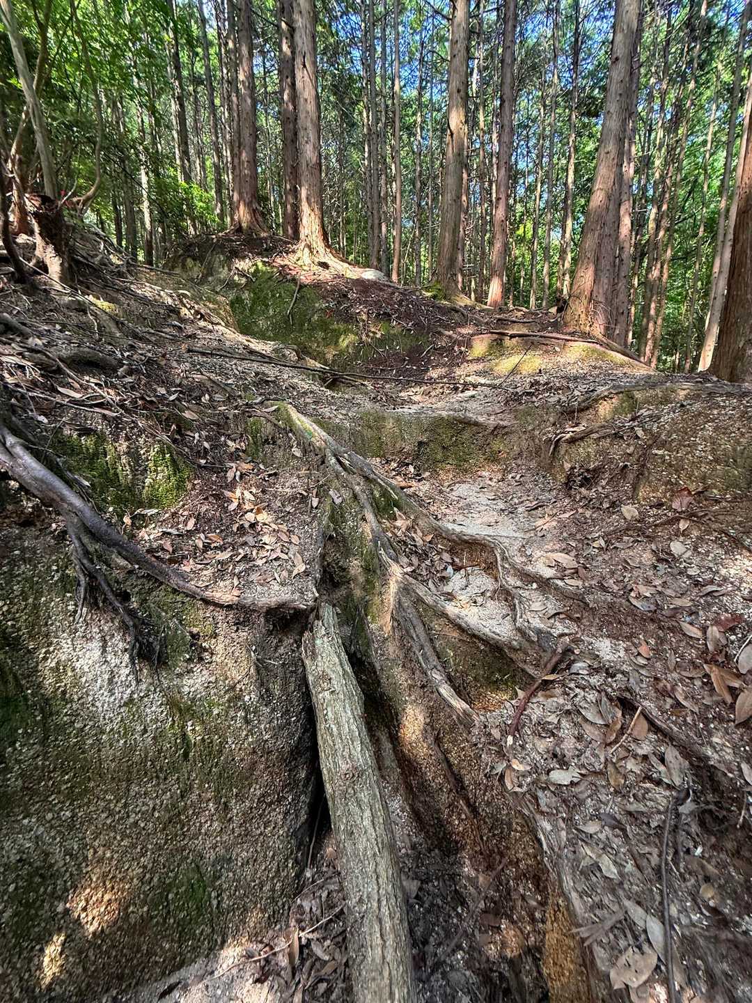 序盤から厳しめのザレ場が続きます