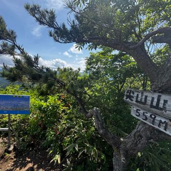 お二人からおやつもらったり
話したりして　日陰で涼み

帰りは女性と一緒に夏椿コースへ
ハッピーな出会いでした🙌