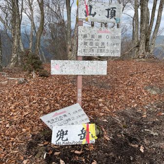 途中必死になりすぎて写真無いが急登。
急登やった事は覚えているが、しんどかった事って忘れてる(●︎ﾉ∀︎`)ﾟo｡ｱﾋｬｬ