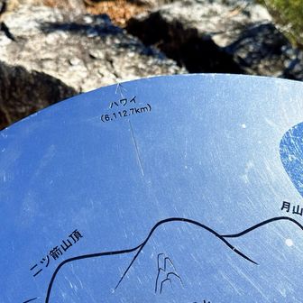 ハワイ🌈🌺🐢💃🌴