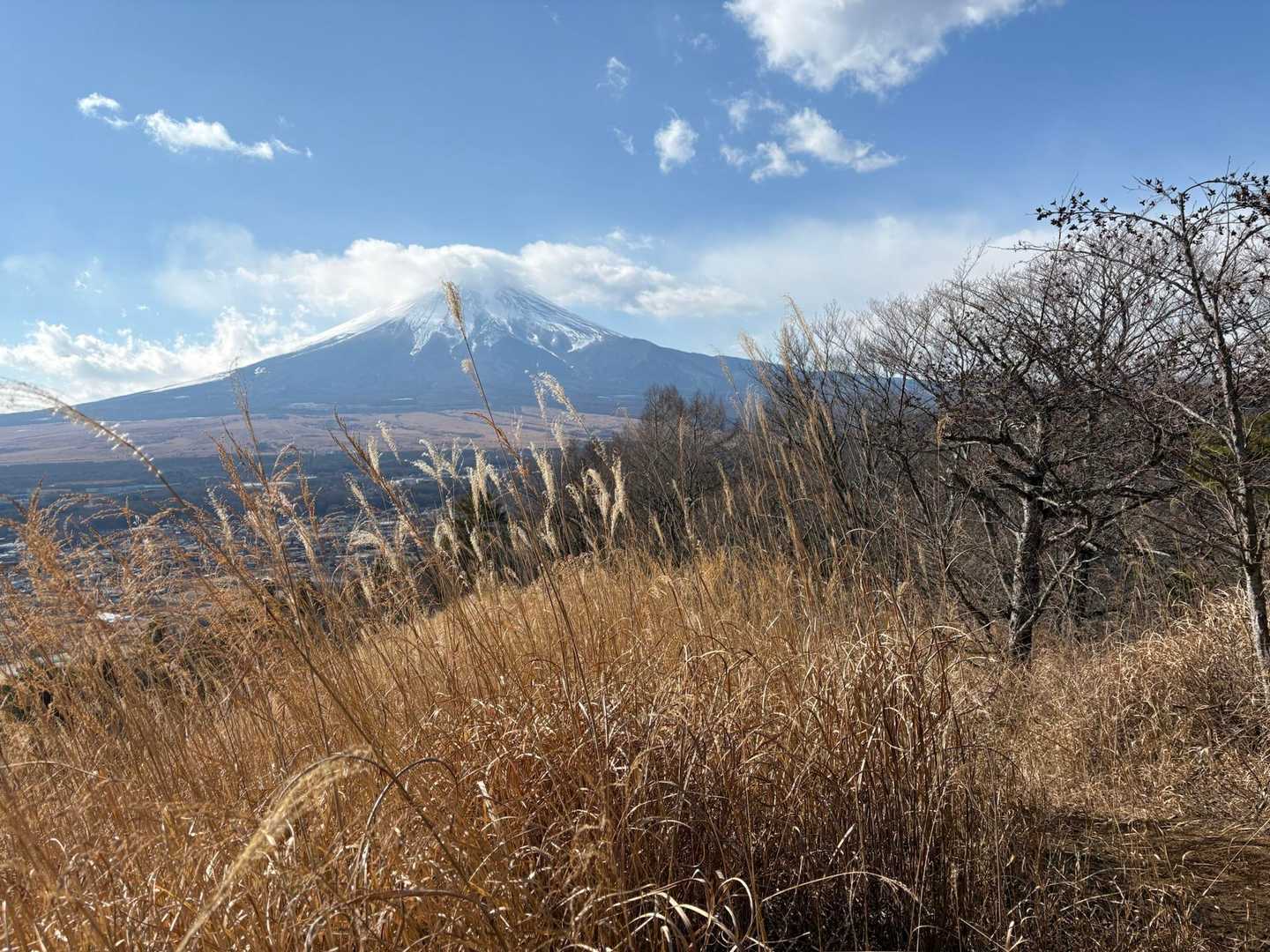 富士サマ