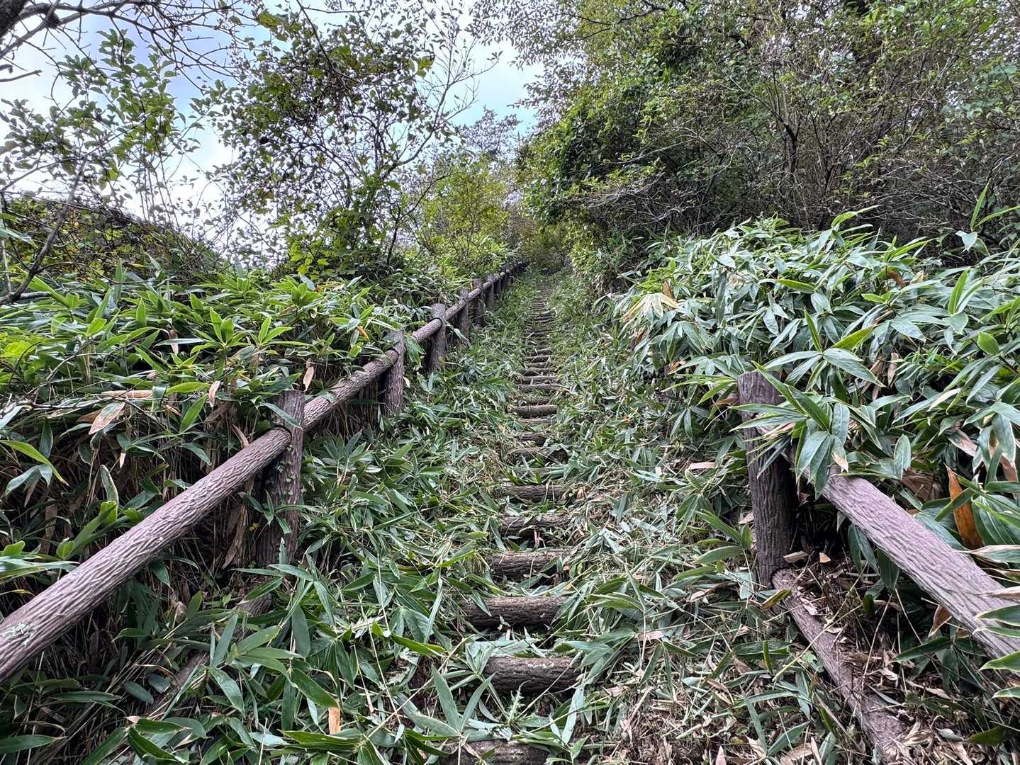 地蔵峠駐車場へ満車だったけどちょうど一台出て行かれたのでセーフ😂
笹が刈ってあります🙏
