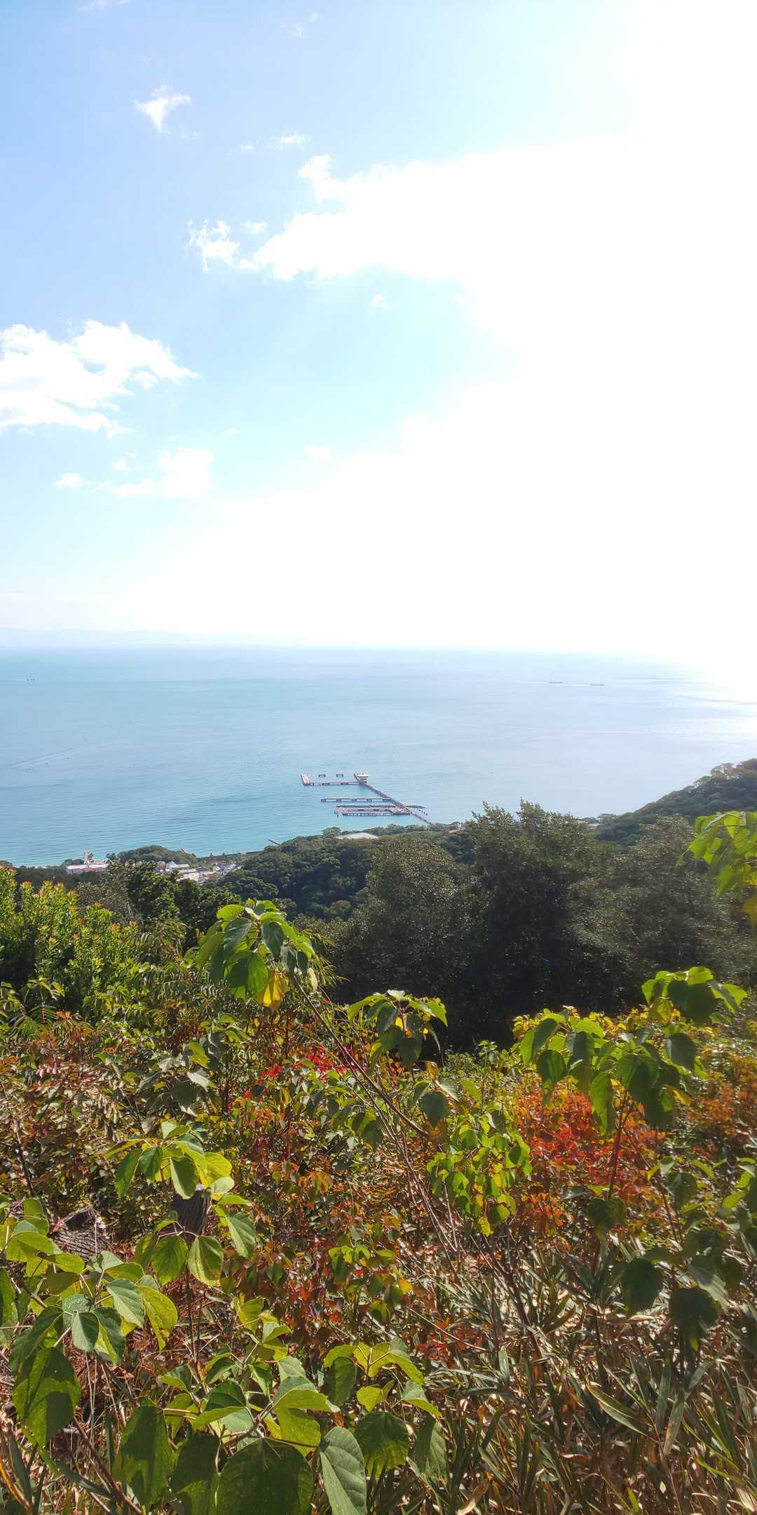 もう復旧出来ないでしょうかね、
須磨浦の海釣り公園、幼少期に親父と
よく来たんだけどなぁ･･･