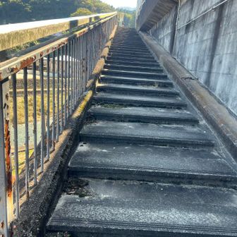 愛川大橋は立体交差で。階段上がってすぐバス停
