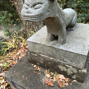 反対側の狛犬さん。阿吽のうんの方ですが、もうなんて言ったら良いのでしょうか、なんか超えてしまってますなあ、常陸大宮市のマスコットゆるキャラにしてはどうでしょう😆