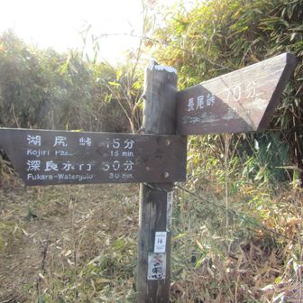 黒岳は山頂標識は見当たりませんでした
よく見るとこの道標に手書きで黒岳と書いてあります🤭
がここは山頂ではなです