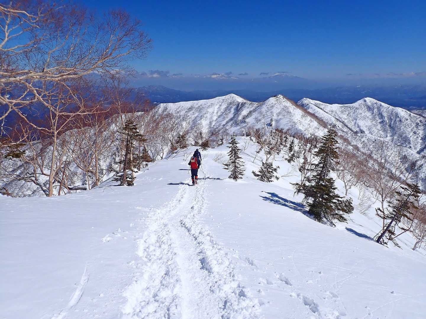 二ノ背髪-小遠見山-五竜登山口-中遠見山-大遠見山-地蔵の 縦走コースの写真