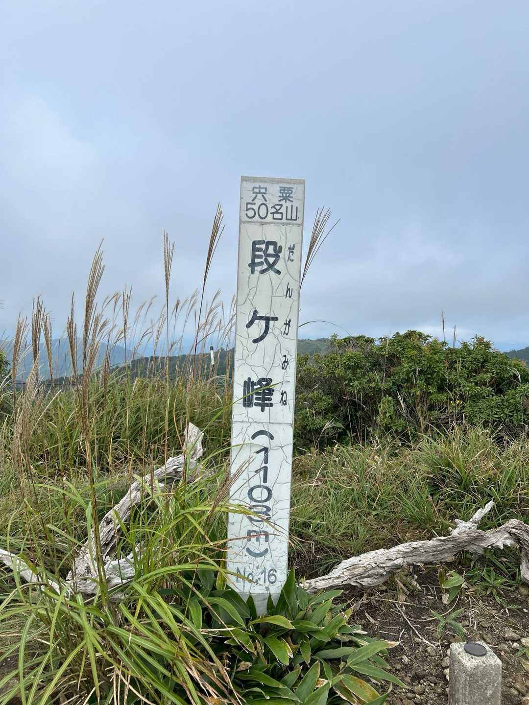 千町峠-段ヶ峰-フトウガ峰-杉山 周回コースの写真