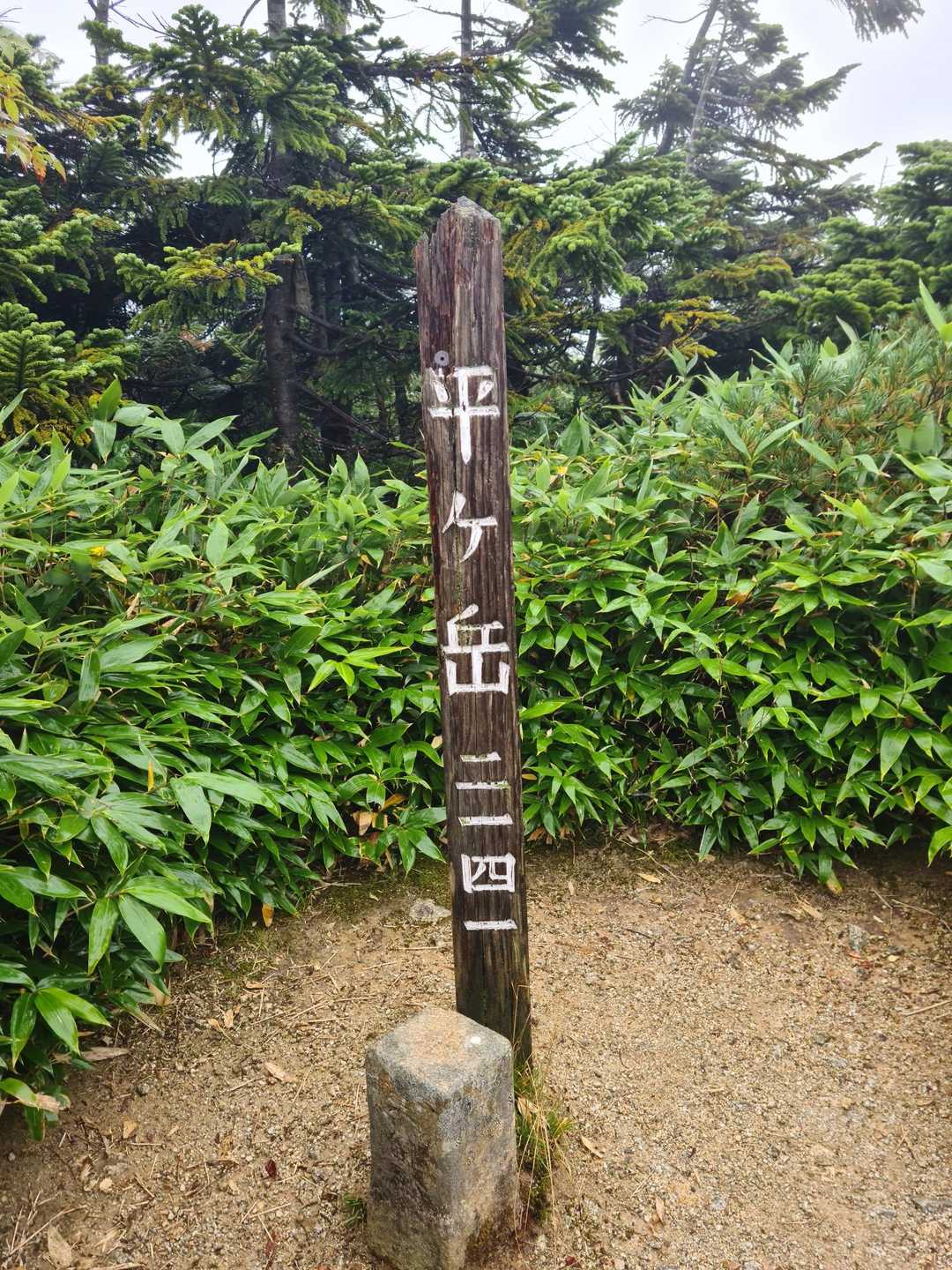 平ヶ岳（プリンスルート） 往復コースの写真