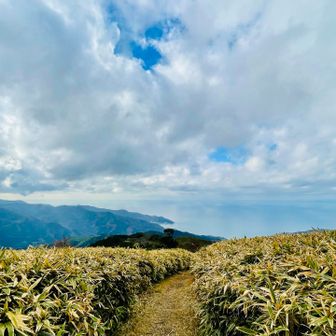 土肥あたりの入江がみえてきました
ここらへんで折り返し帰路に。
