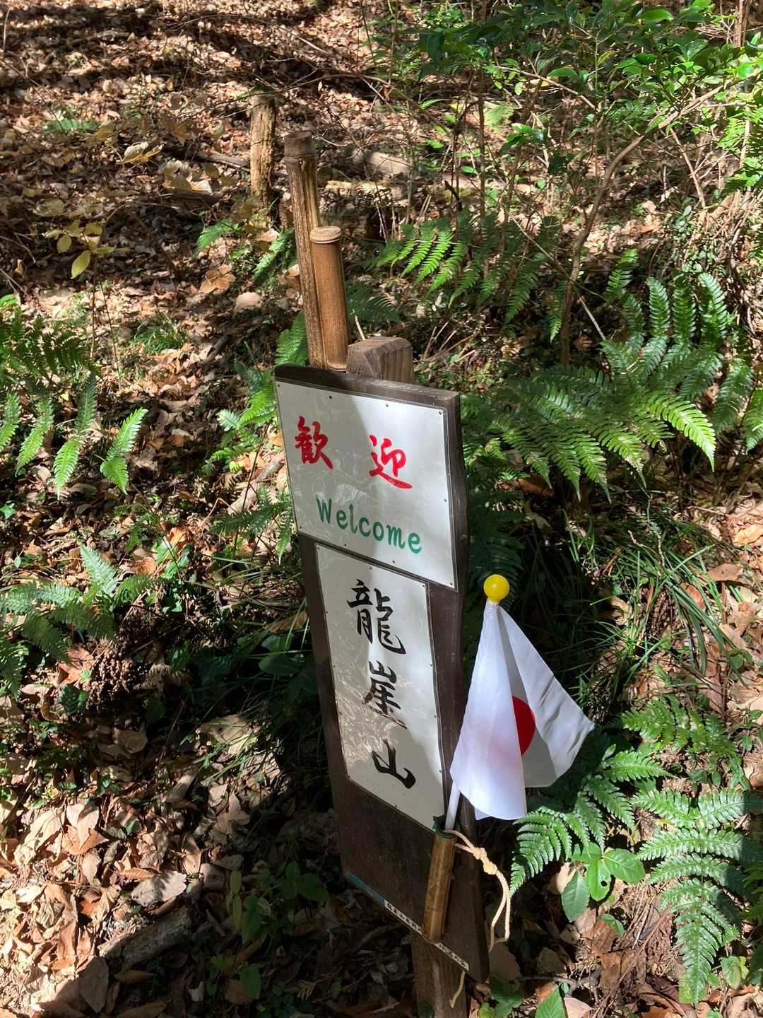 龍崖山登山口-龍崖山-龍崖山登山口 縦走コースの写真