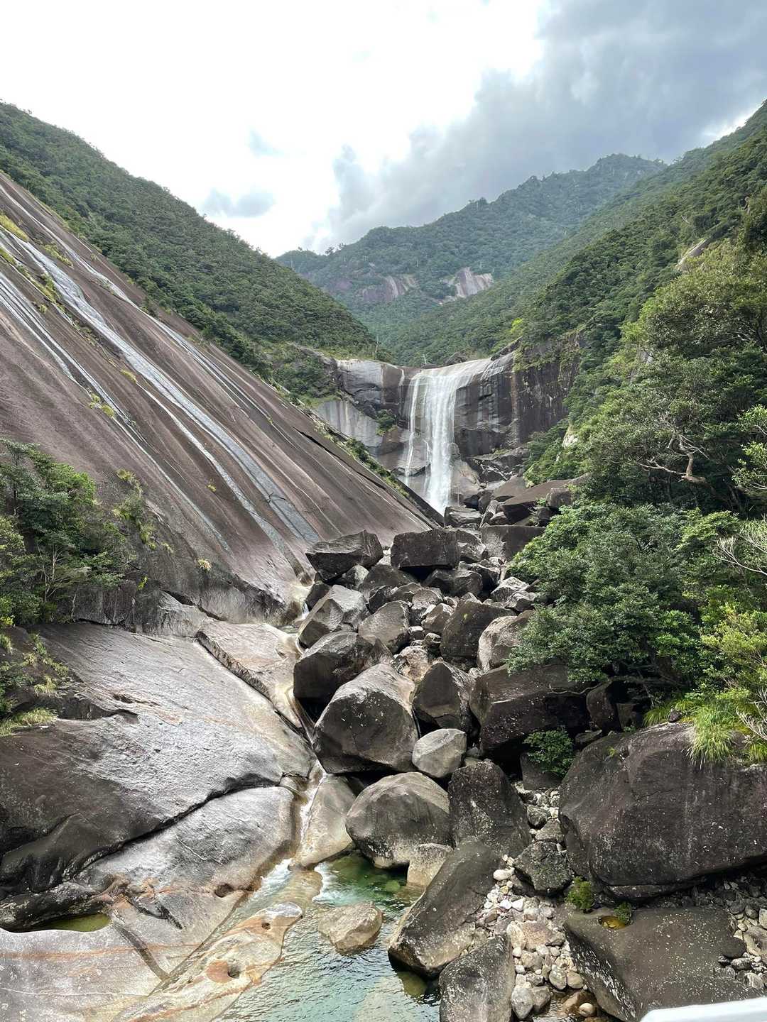万代杉-モッチョム太郎-モッチョム岳 往復コースの写真