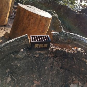 こんなところにもお賽銭箱が！