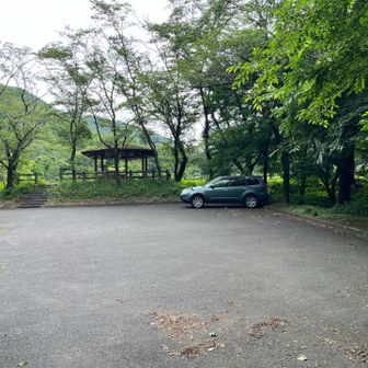 帰ってきました。