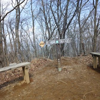 熊倉山山頂、明るいが展望なし