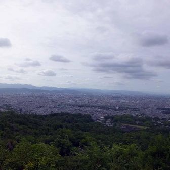 展望所から東