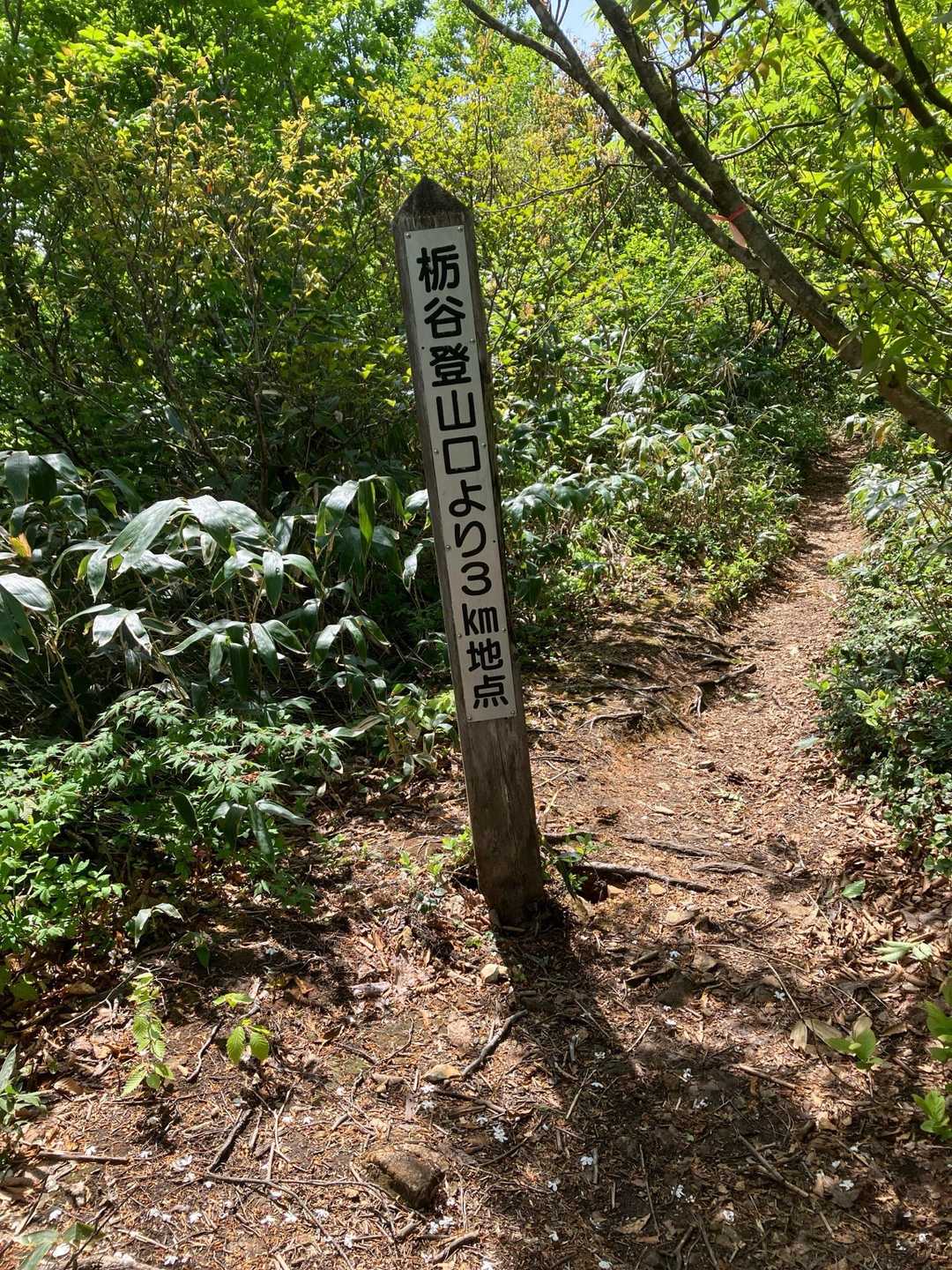 登山口より3km
目安になります