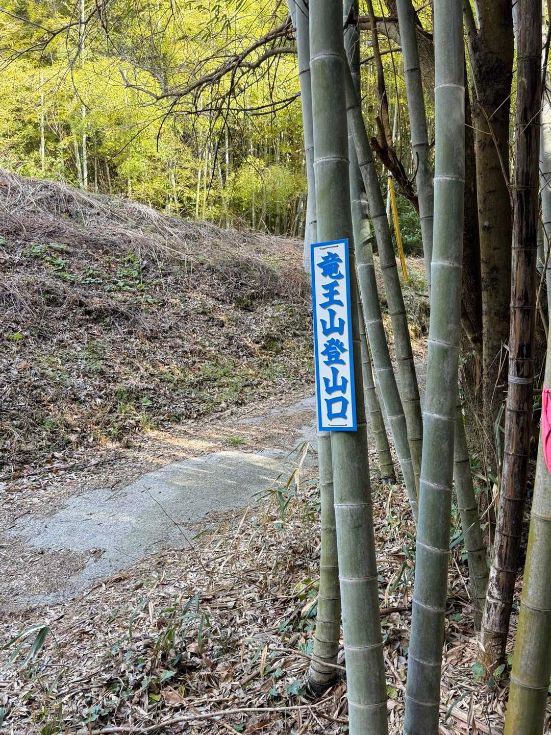 竜王山登山口
しばらくコンクリートの急坂