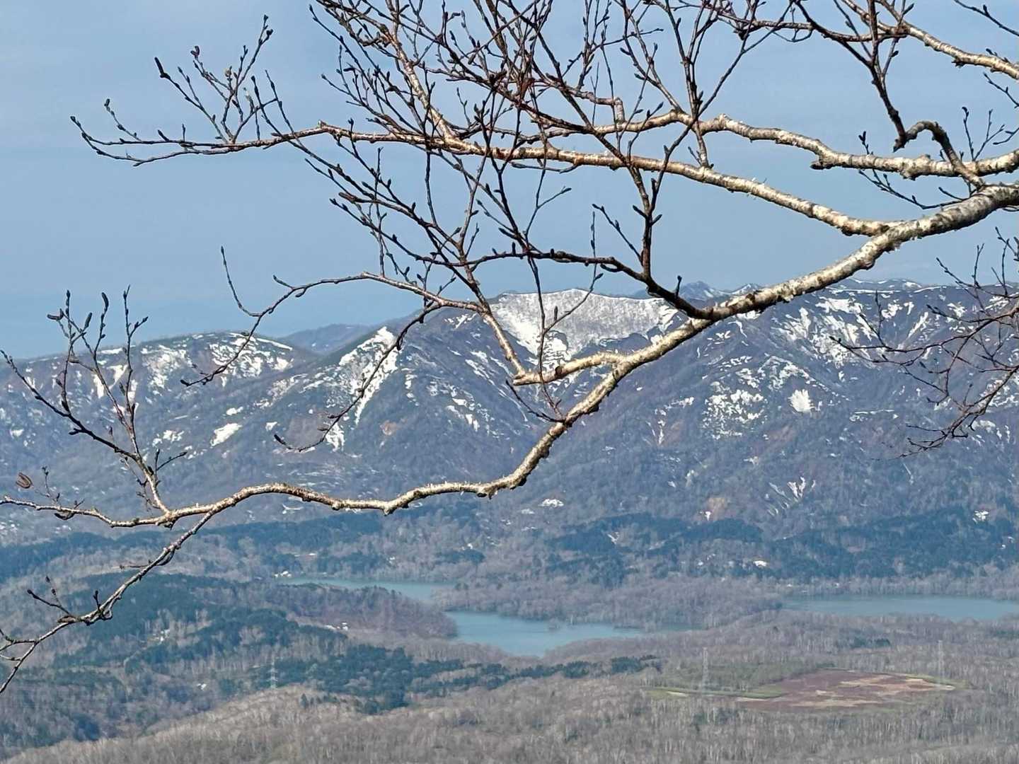 Bコース登山口-神居尻山 往復コースの写真