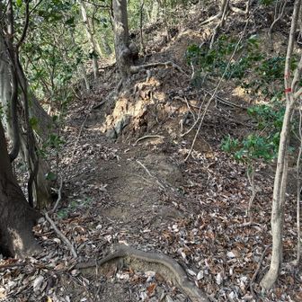 うわーこれ無いわー。
ここに来てこの急登は無いわー。
両足崩壊しそう（笑）