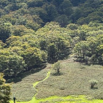 そこからの眺め🤩はまるで草原みたい

この日は、何人もテント⛺️泊装備の方をお見かけしました