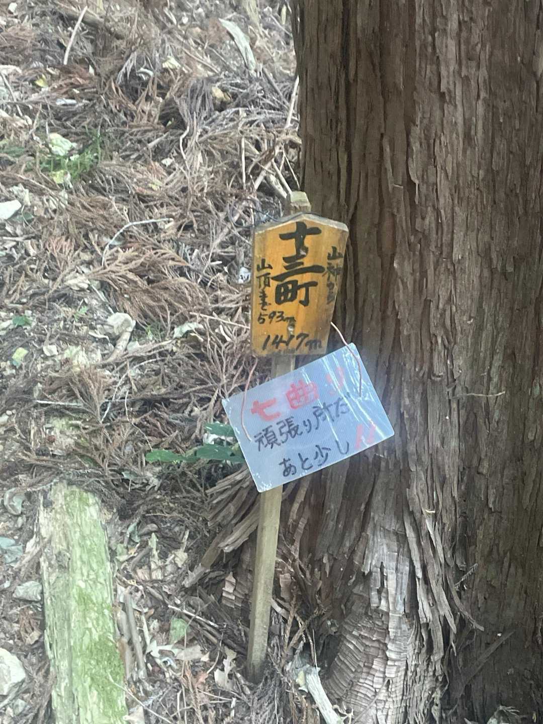 前回よりはいい感じで登れてます😃