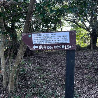 こちらから下山