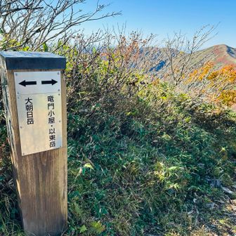 予定通り14時前に竜門小屋分岐到着
17時前に下山できそう😄