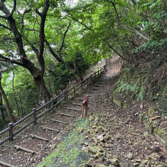 灯台への分岐に合流